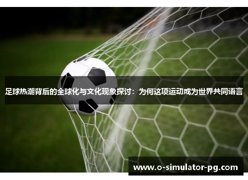 足球热潮背后的全球化与文化现象探讨:为何这项运动成为世界共同语言 足球热潮背后的全球化与文化现象探讨:为何这项运动成为世界共同语言